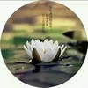 赵周琪的爸爸