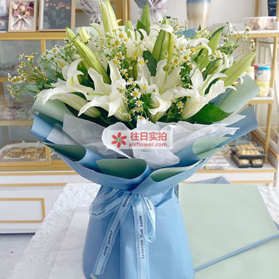 钦州8支白色多头百合洋甘菊，互倾的思念