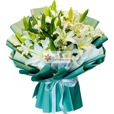 钦州8支白色多头百合洋甘菊，如潮的思念
